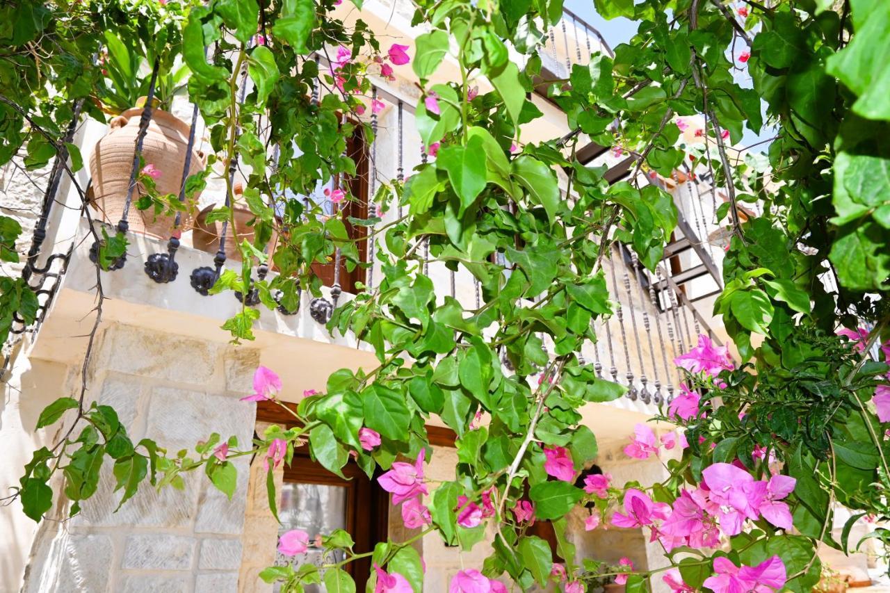 Villa Athina - Irene Country House Ιεράπετρα Εξωτερικό φωτογραφία